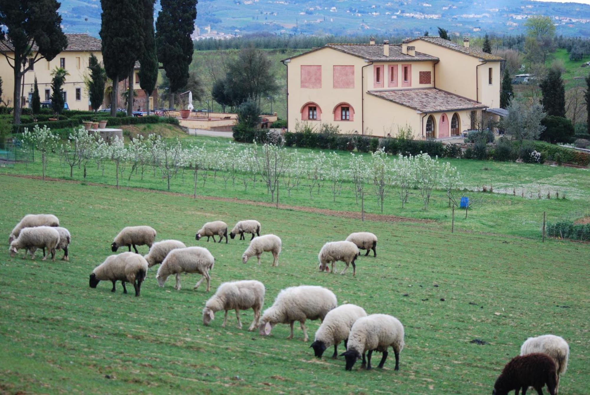 Agriturismo Fattoria Rozzalupi Cerreto Guidi Extérieur photo