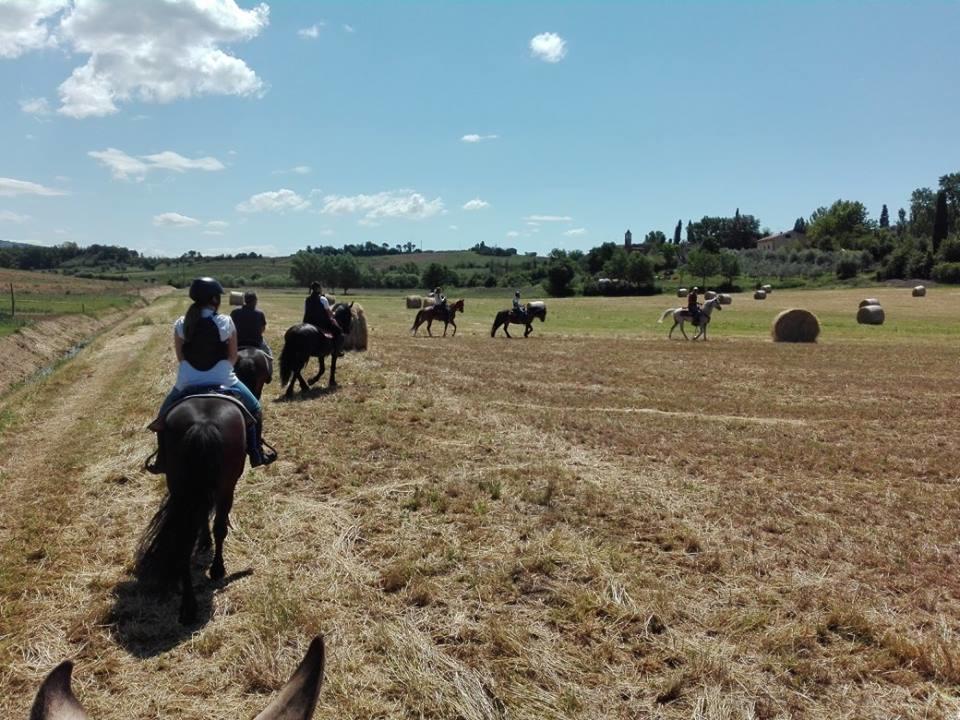 Agriturismo Fattoria Rozzalupi Cerreto Guidi Extérieur photo